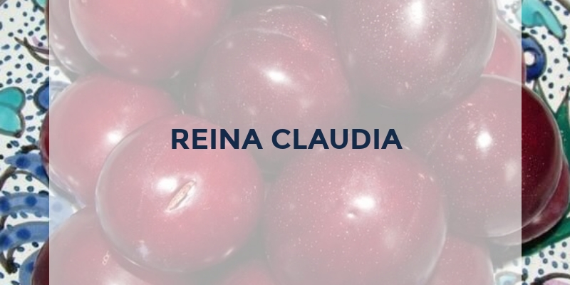 frutas por r reina claudia