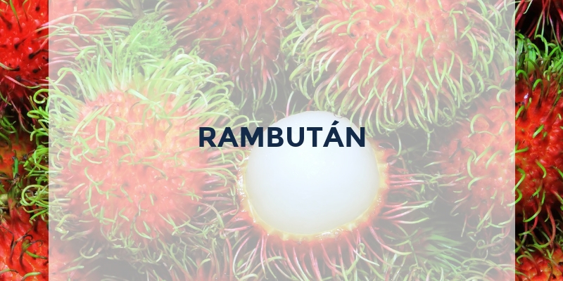 frutas que empiezan por r rambutan